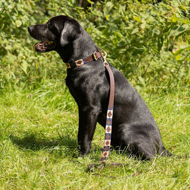 Benji & Flo Sublime Polo Leather Dog Lead| Online For Equine