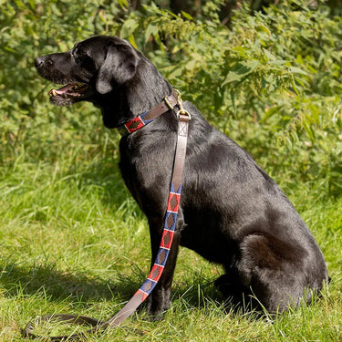 Benji & Flo Sublime Polo Leather Dog Lead| Online For Equine