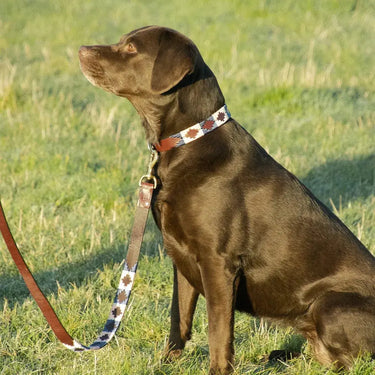Benji & Flo Sublime Polo Leather Dog Lead| Online For Equine