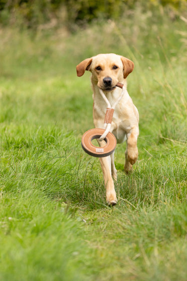 Benji & Flo Tug 'n' Play Dog Toys| Online For Equine