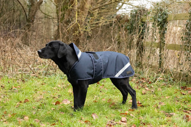 Benji & Flo Waterproof Dog Coat| Online For Equine