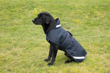 Benji & Flo Waterproof Dog Coat| Online For Equine