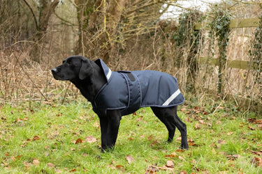 Benji & Flo Waterproof Dog Coat| Online For Equine