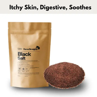 Black Salt| Online For Equine