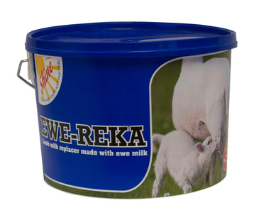 Bonanza Ewe Reka| Online For Equine