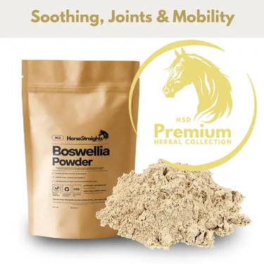 Boswellia Powder| Online For Equine