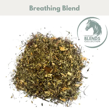 Breathing Blend| Online For Equine