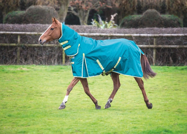 Buy Bridleway Ontario 100g Combo Turnout Rug| Online for Equine