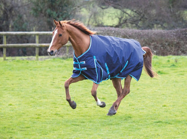 Buy Bridleway Ontario Lightweight Standard Neck Turnout Rug| Online for Equine