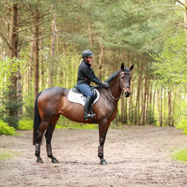 Buy Equilibrium Breathable Tri-Zone Brushing Boots Brown | Online for Equine