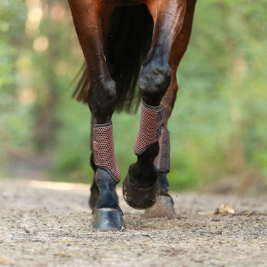 Buy Equilibrium Breathable Tri-Zone Brushing Boots Brown | Online for Equine
