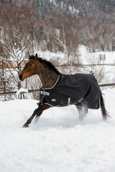 Bucas Anniversary Turnout 150g Stay Rug| Online For Equine
