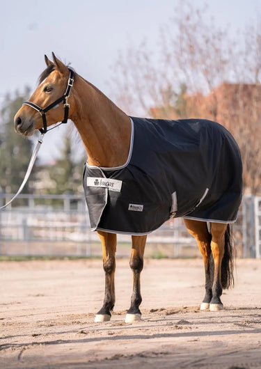 Bucas Anniversary Turnout 150g Stay Rug| Online For Equine