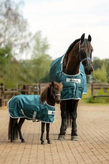 Bucas Atlantic Turnout 200g Pony Rug| Online For Equine