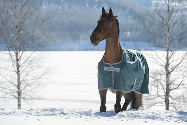 Bucas Atlantic Turnout 200g Rug| Online For Equine
