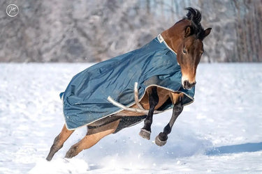 Bucas Atlantic Turnout 200g Rug| Online For Equine