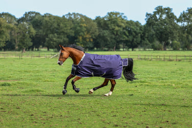 Bucas Atlantic Turnout 50g Big Neck Rug| Online For Equine