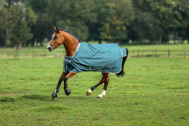 Bucas Atlantic Turnout 50g Rug| Online For Equine