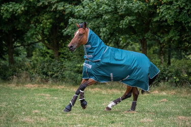 Bucas Atlantic Turnout Neck 50g| Online For Equine