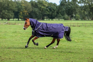 Bucas Atlantic Turnout Neck 50g| Online For Equine