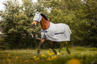 Bucas Buzz-Off Classic Cut Rug| Online For Equine