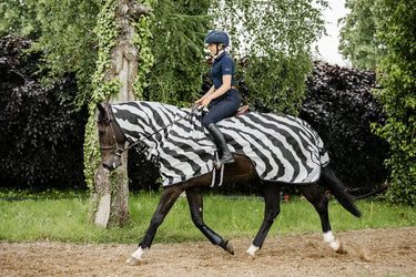 Bucas Buzz-Off Riding Zebra Rug| Online For Equine