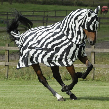 Buy Bucas Buzz-Off Zebra Fly Rug| Online for Equine