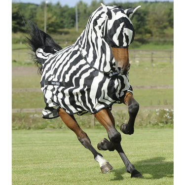Buy Bucas Buzz-Off Zebra Fly Rug| Online for Equine