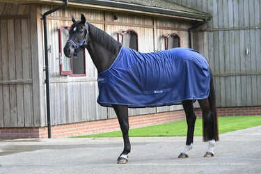 Bucas Competition Cooler| Online For Equine