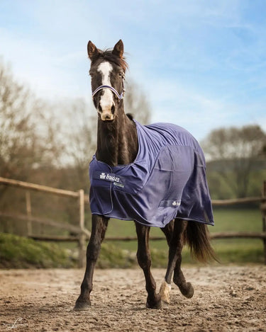 Bucas Competition Cooler| Online For Equine