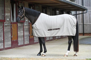 Bucas Cool Sheet Linen Rug| Online For Equine