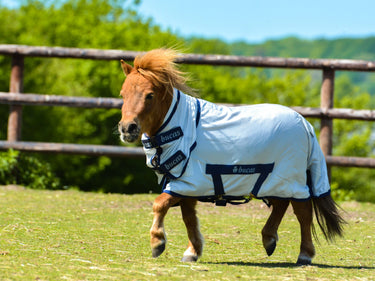Bucas Freedom Fly Sheet Pony Rug| Online For Equine