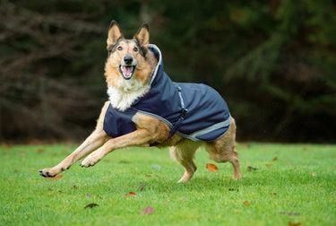 Bucas Freedom Rip-Stop Dog Rug 50g| Online For Equine