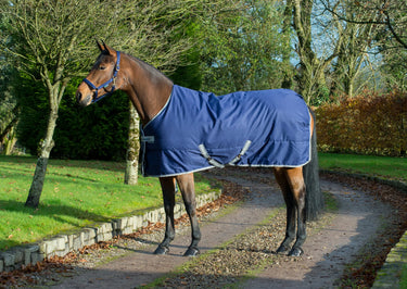 Bucas Freedom Stable 150g Rug| Online For Equine