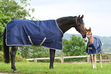Bucas Freedom Turnout 150g Horse Rug| Online For Equine