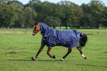 Bucas Freedom Turnout 300g/150g Full Neck Rug| Online For Equine