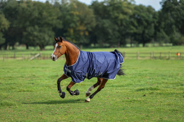 Bucas Freedom Turnout 300g Pony Rug| Online For Equine