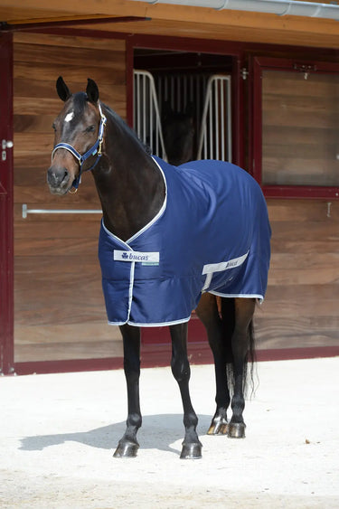 Bucas Freedom Twill Sheet Pony Rug| Online For Equine
