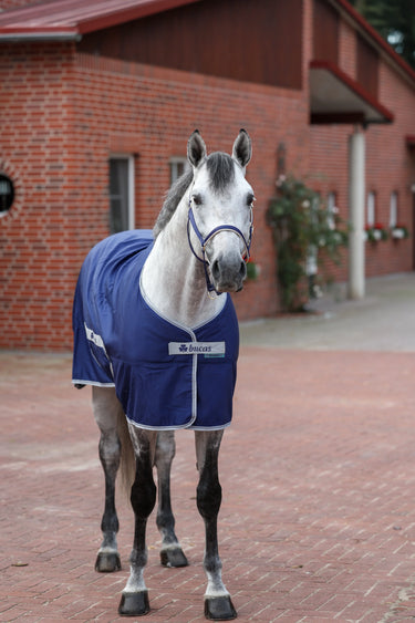 Bucas Freedom Twill Sheet Rug| Online For Equine