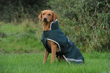 Bucas Green Line Large Dog Rug| Online For Equine