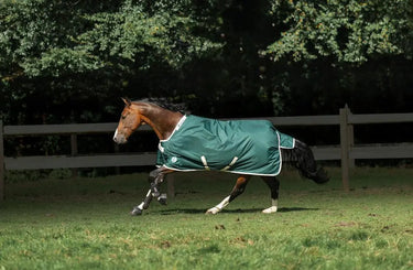 Bucas Greenline Turnout 100g Rug| Online For Equine
