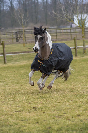 Bucas Irish Turnout 300g Pony Rug| Online For Equine