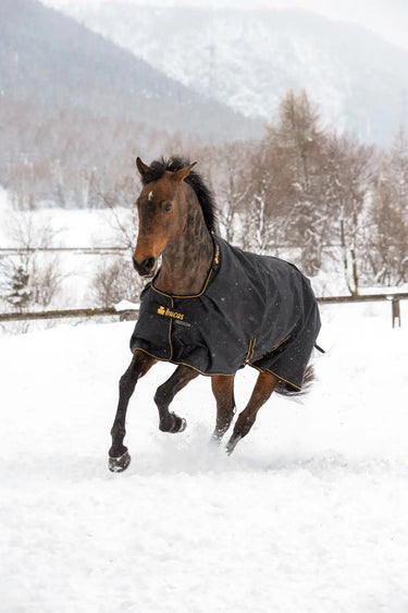 Bucas Irish Turnout 300g Rug| Online For Equine