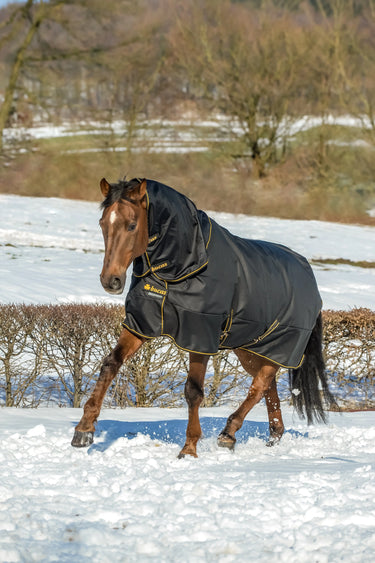 Bucas Irish Turnout Neck 300g| Online For Equine