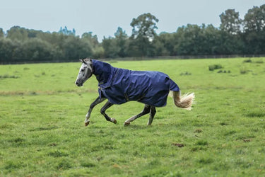 Bucas Irish Turnout Neck No Fill| Online For Equine