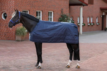 Bucas Liner 200g Rug| Online For Equine