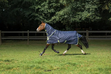 Bucas Oasis Turnout 100g + Neck Set Rug| Online For Equine