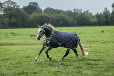 Bucas Oasis Turnout 100g + Neck Set Rug| Online For Equine