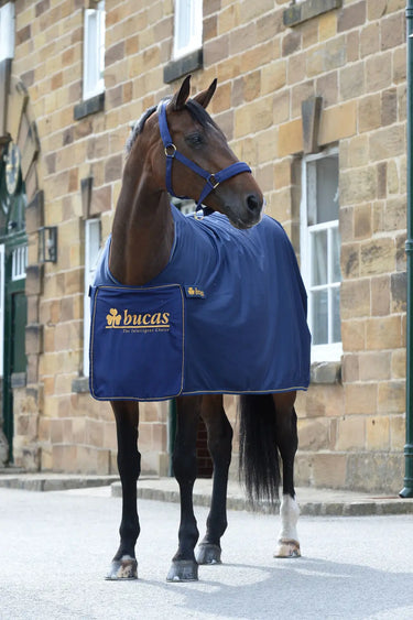 Bucas Panel Prize Cooler Rug| Online For Equine
