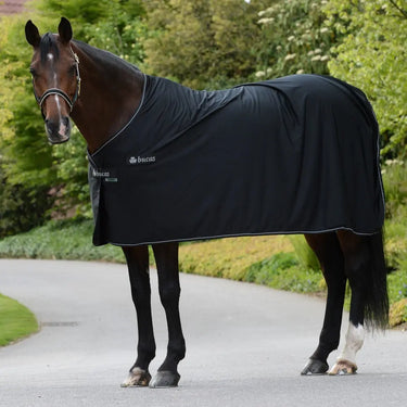 Bucas Panel Prize Cooler Rug| Online For Equine